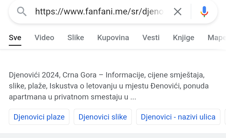 no rendered url in google search and no meta tittle cause google drop page from index